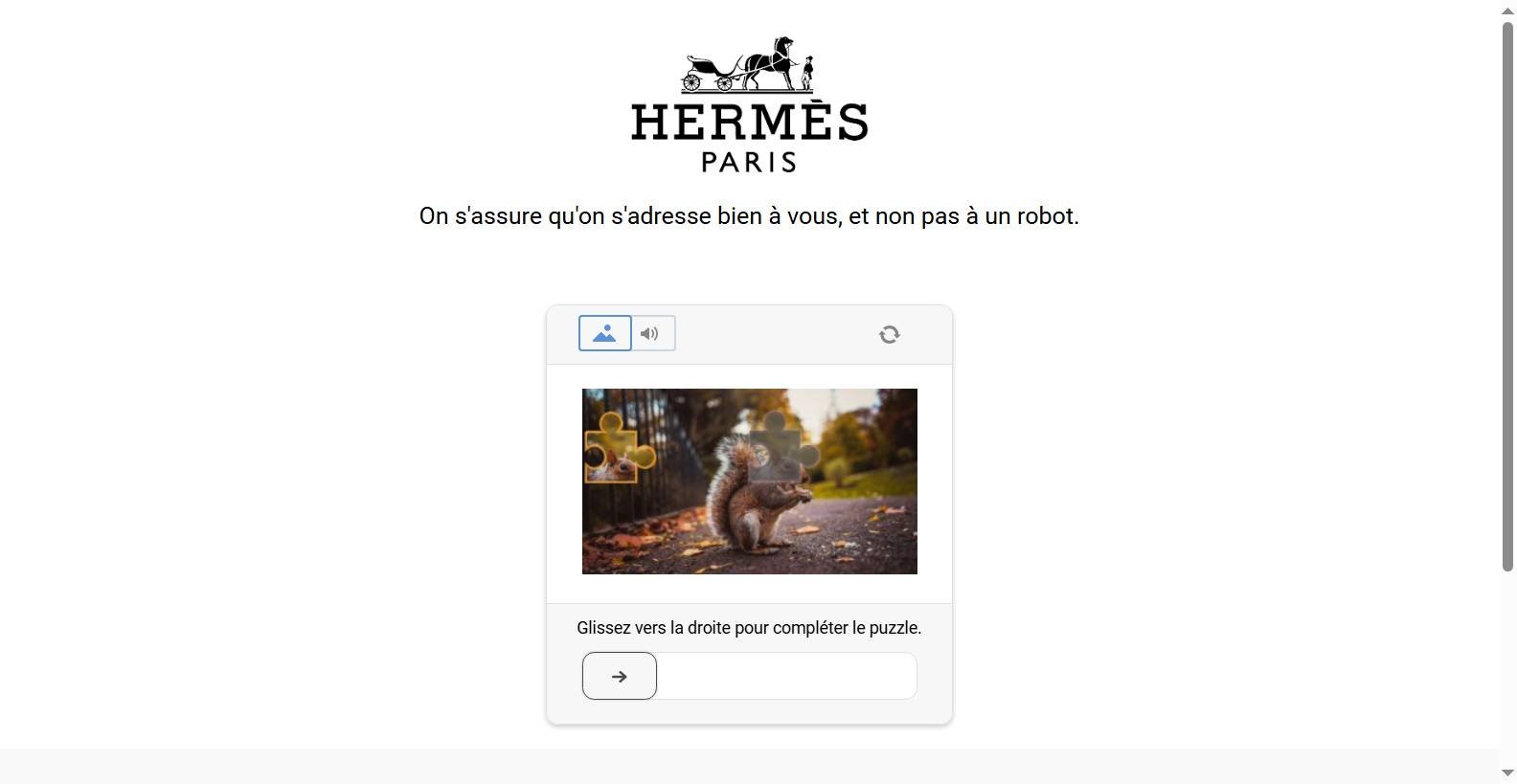 hermes_com_6aceaf5c.jpg