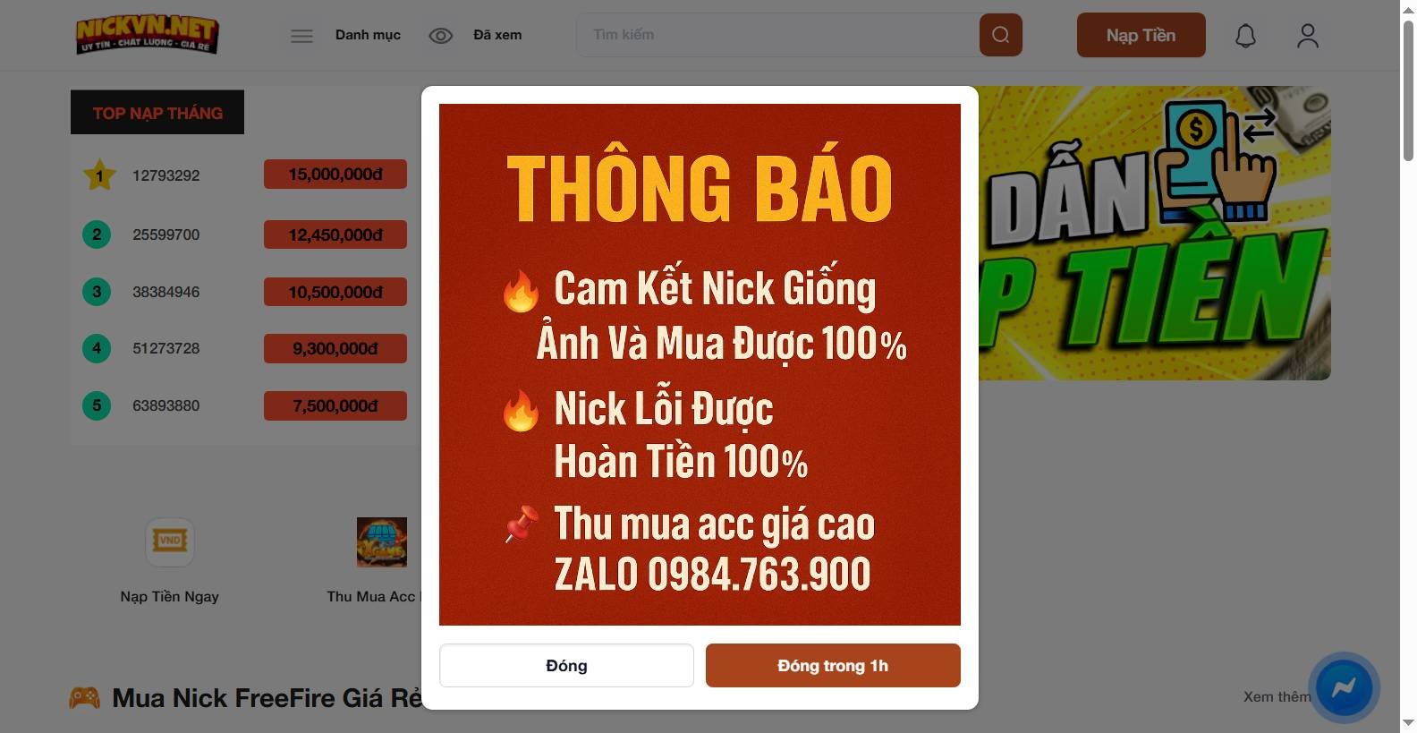 nickvn_net_cf6b414a.jpg